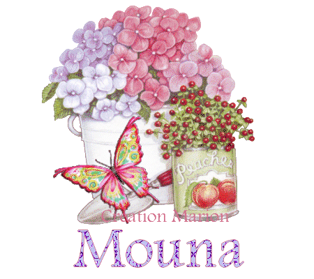 Afficher l'image d'origine